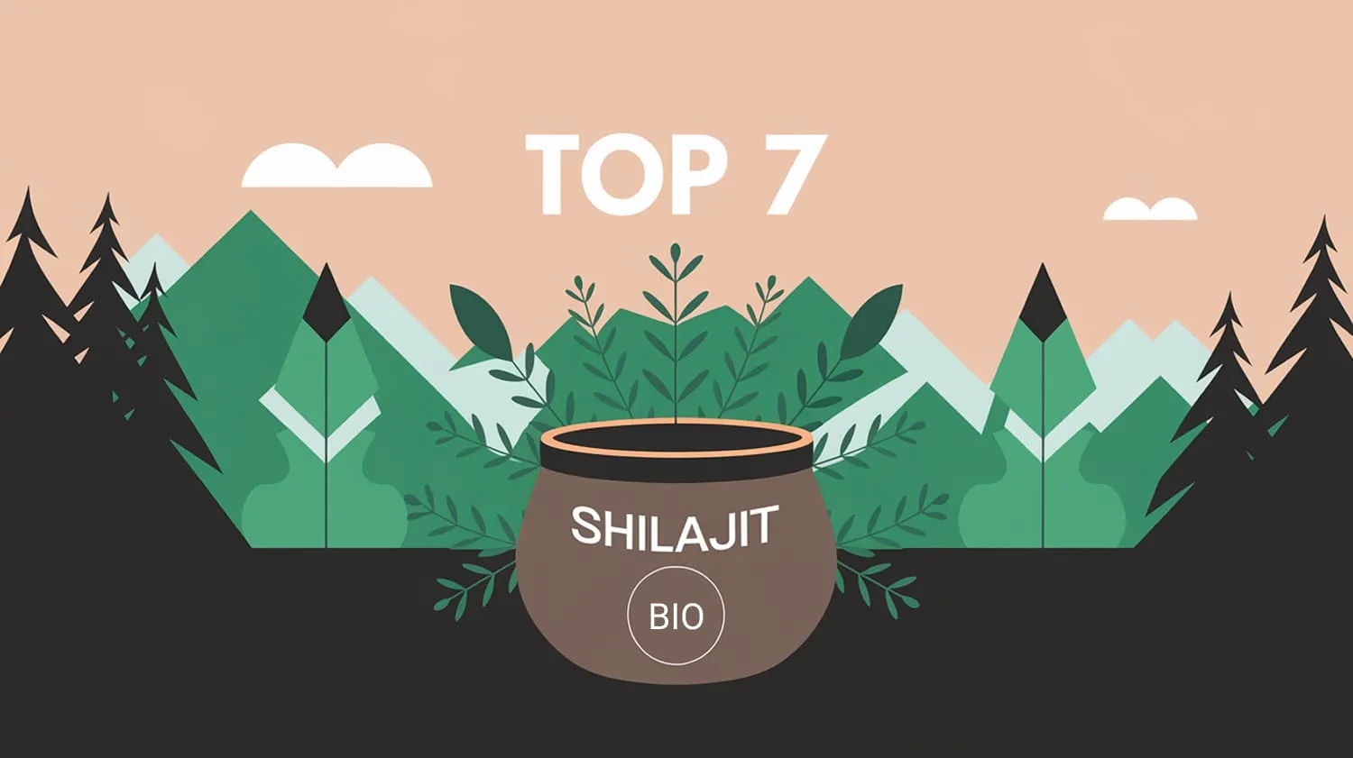 Top 7 Shilajit Bio Certifié 2025 : Guide Complet des Marques 100% Naturelles